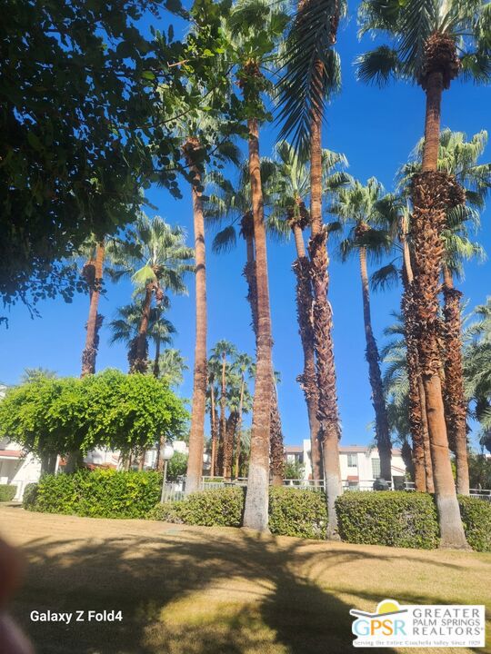 MLS #25603121PS image #12