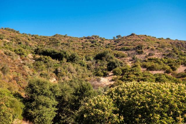 Detail Gallery Image 30 of 33 For 26 El Calamar Rd, Temecula,  CA 92590 - – Beds | – Baths