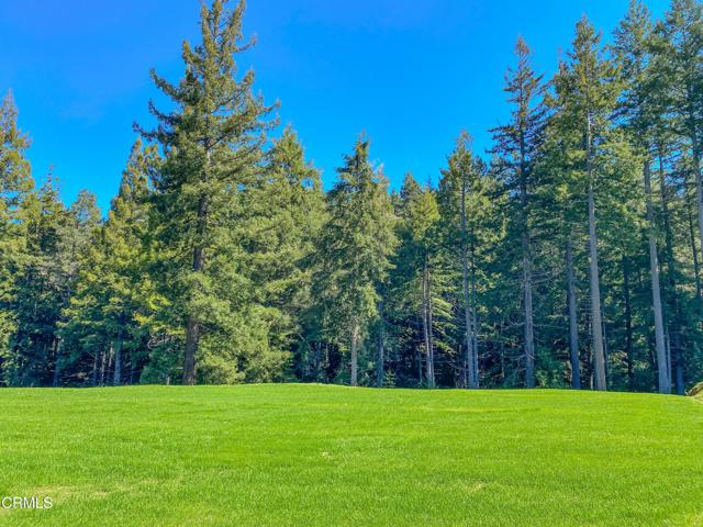 15137 Mitchell Creek Drive, Fort Bragg CA: https://media.crmls.org/mediaz/7e6fd617-110c-4c1d-8384-5cfac268ce6f.jpg