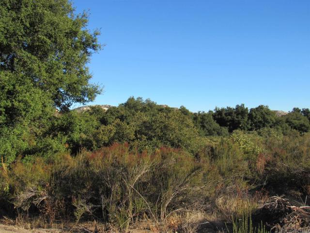 Detail Gallery Image 15 of 19 For 2115 N Campo Truck Trail, Campo,  CA 91906 - – Beds | – Baths