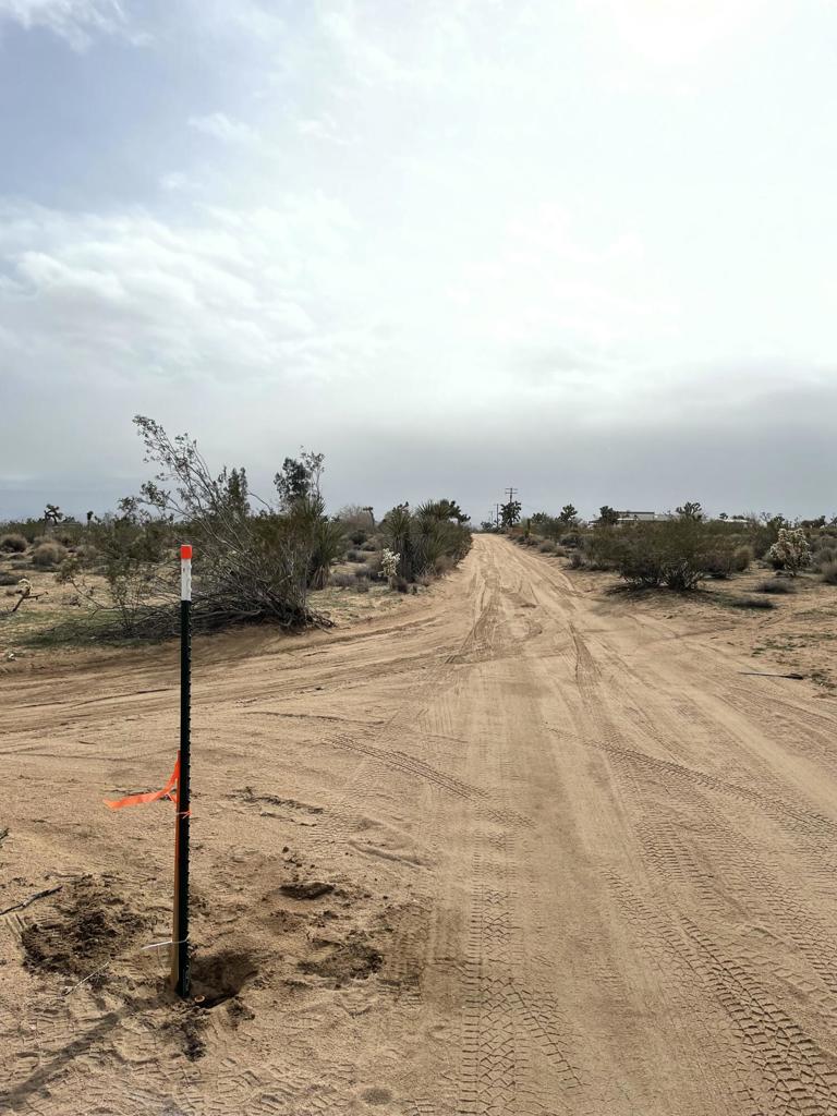 MLS #219145913DA image #12