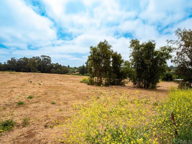 0 McDonald, Fallbrook CA: https://media.crmls.org/mediaz/7e8b9bb3-4190-436a-b259-421a8654254f.jpg