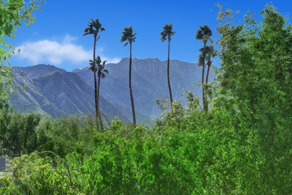 https://media.crmls.org/mediaz/7e8bd5f7-25fb-4243-baf5-b03983d3c0f9.jpg?preset=X-Large