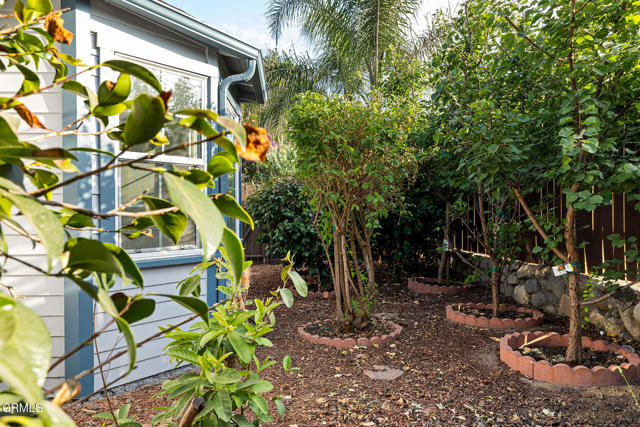 259 Acacia Street, Altadena CA: https://media.crmls.org/mediaz/7e8bf135-7d4f-4206-a1ae-7cf497f8e6df.jpg