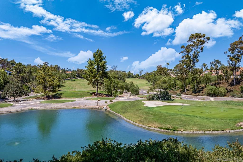 MLS #250032992SD img 39