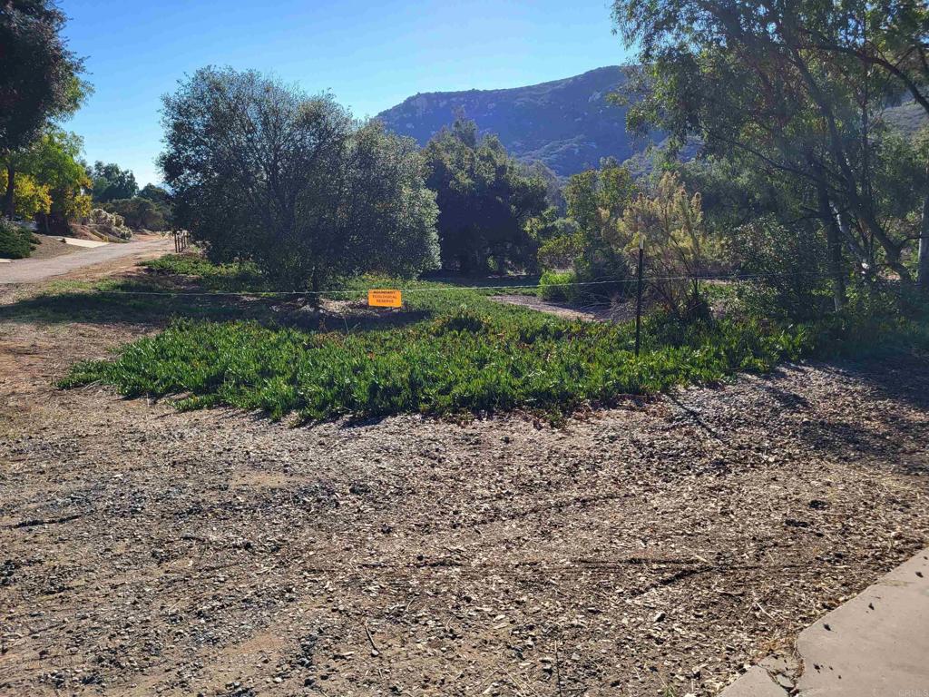 MLS #PTP2508546 image #13