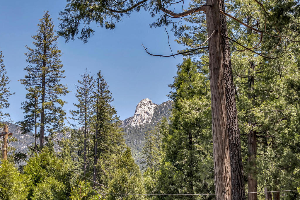 https://media.crmls.org/mediaz/7eaa07aa-747a-41b5-afa4-6eb843af6395.jpg?preset=X-Large