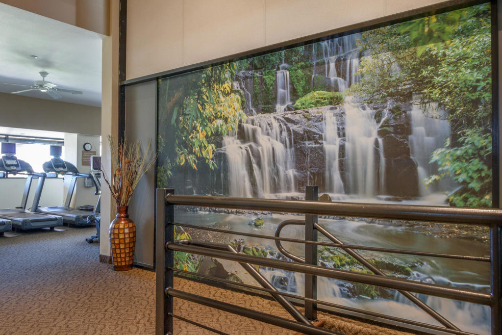 MLS #219139159DA image #23