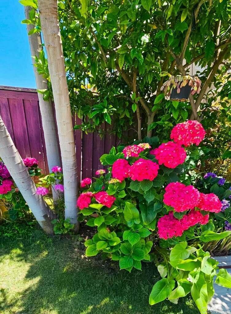 https://media.crmls.org/mediaz/7eb7db42-b004-4eed-a991-631fd068da01.jpg?preset=X-Large