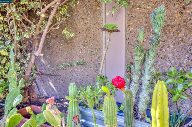 1679 Carmel Dr, Walnut Creek CA: https://media.crmls.org/mediaz/7eba9b50-5b8f-463e-ba4d-2efc07947264.jpg