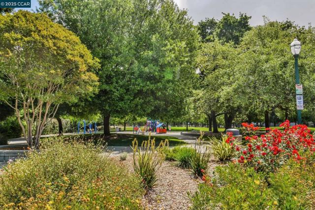 2584 Oak Rd, Walnut Creek CA: https://media.crmls.org/mediaz/7ebff898-8645-438b-ab28-45b9b1a8b734.jpg