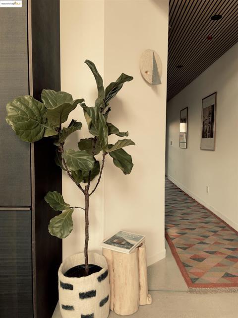 1818 5Th, Berkeley CA: https://media.crmls.org/mediaz/7ec34942-95ab-4503-9e6e-5e28085ad827.jpg