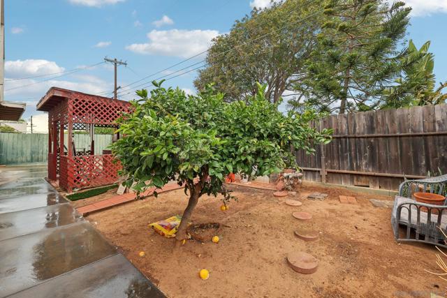 MLS #250036243SD image #41