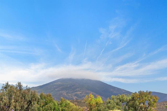2914 Elm Tree Ct, Spring Valley CA: https://media.crmls.org/mediaz/7ec99a39-b333-4a8e-8b11-e86991942244.jpg