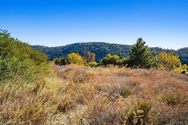 Detail Gallery Image 7 of 33 For 0 State Park Rd, Palomar Mountain,  CA 92060 - – Beds | – Baths
