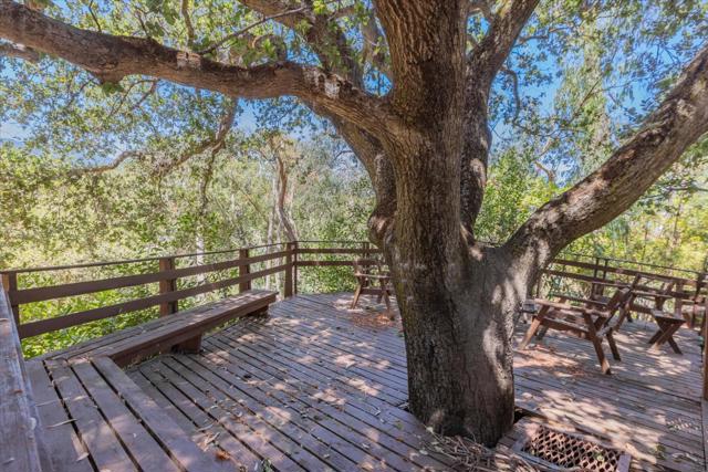 5824 Arboretum Drive, Los Altos CA: https://media.crmls.org/mediaz/7edf1f92-375f-4f66-9510-08ce8d7000e6.jpg