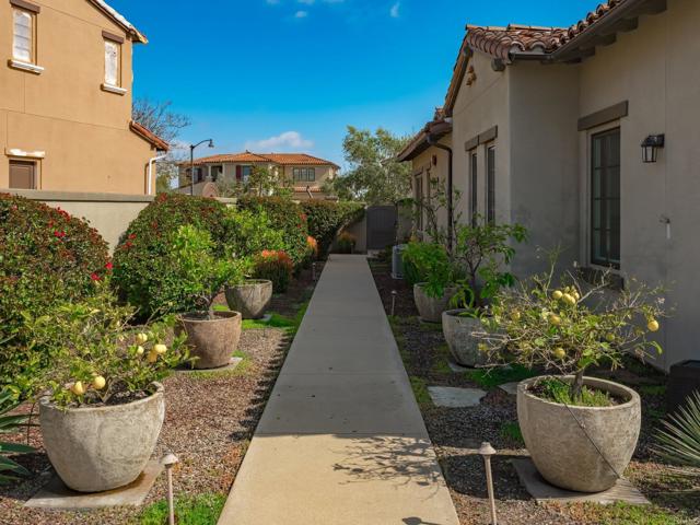 Image 36 of 66 For 8784 Avenida Mirador