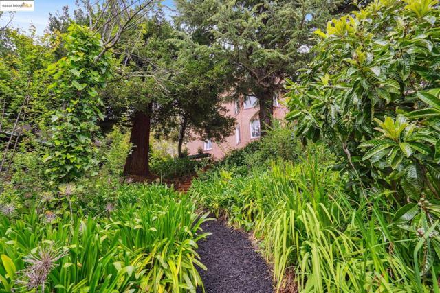 80 Oak Ridge Rd, Berkeley CA: https://media.crmls.org/mediaz/7ee35b09-b4d7-455e-a69d-1f79c3e7466c.jpg