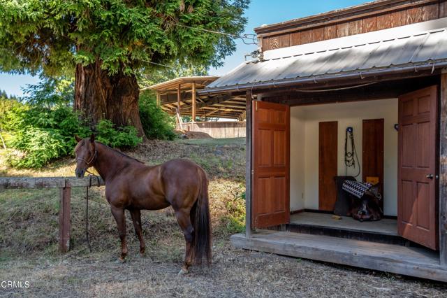 Image 40 of 55 For 29100 Comptche Ukiah Road
