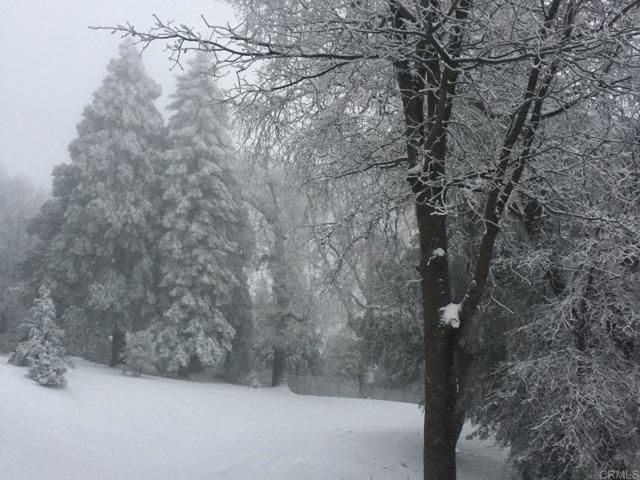 Detail Gallery Image 54 of 75 For 3413 Fern Meadow Rd, Palomar Mountain,  CA 92060 - 3 Beds | 3/1 Baths