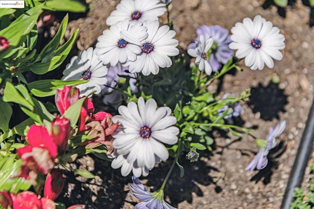 https://media.crmls.org/mediaz/7eeab736-b8bb-4c0d-9894-8ec0f7ab7669.jpg?preset=X-Large