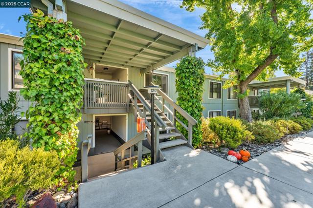 1200 Leisure Ln, Walnut Creek CA: https://media.crmls.org/mediaz/7eecbb1a-36c6-428e-a90e-710a7ba63204.jpg
