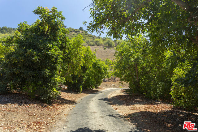 10880 Creek Road, Ojai CA: https://media.crmls.org/mediaz/7eee1b79-69c9-4df4-836f-d026c289cd8a.jpg