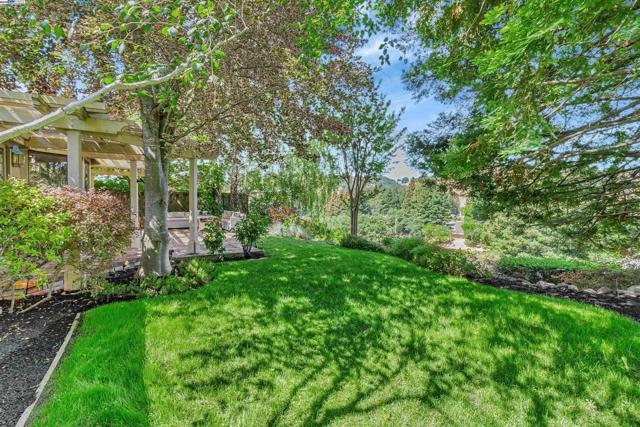 158 Golden Ridge Rd, Alamo CA: https://media.crmls.org/mediaz/7eee34ed-939f-4c2c-b305-bb5485a070f3.jpg