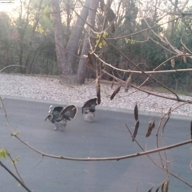 91 Diana Way, Antioch CA: https://media.crmls.org/mediaz/7eeeb294-ca6d-45f3-8d3a-71b4aee74809.jpg