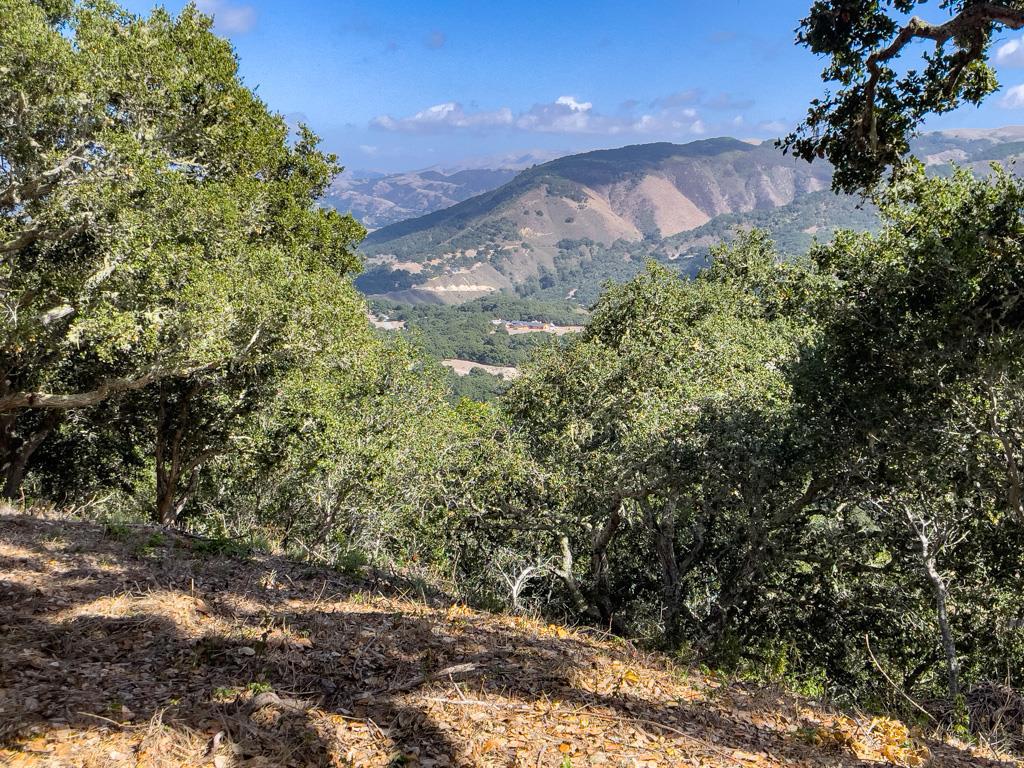 MLS #ML81990616 image #8