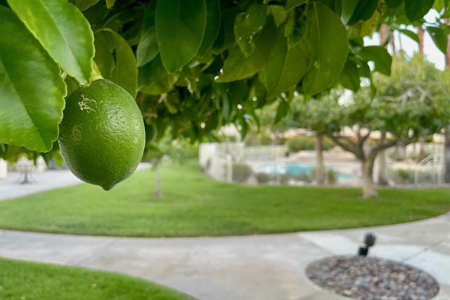 6236 Paseo De La Palma, Palm Springs, CA 92264