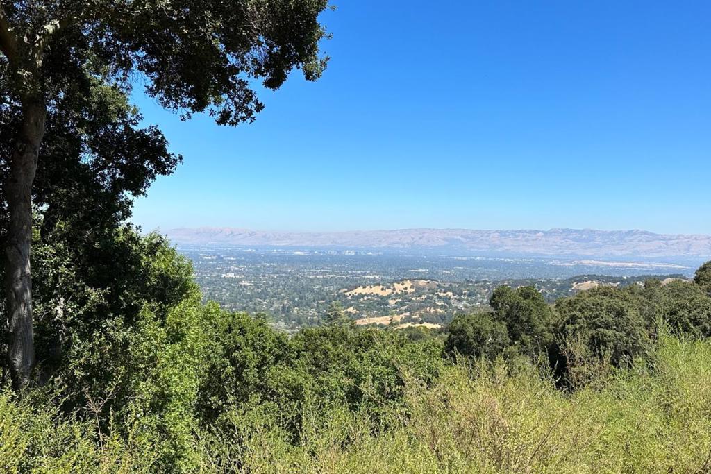 MLS #ML81991145 image #28