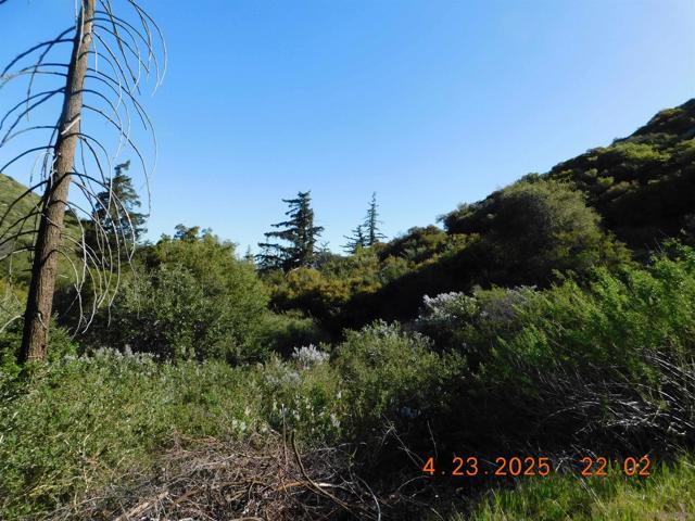 0 San Felipe Rd,  CA: https://media.crmls.org/mediaz/7f0c59d5-f15d-4320-a913-ff1a9917d465.jpg