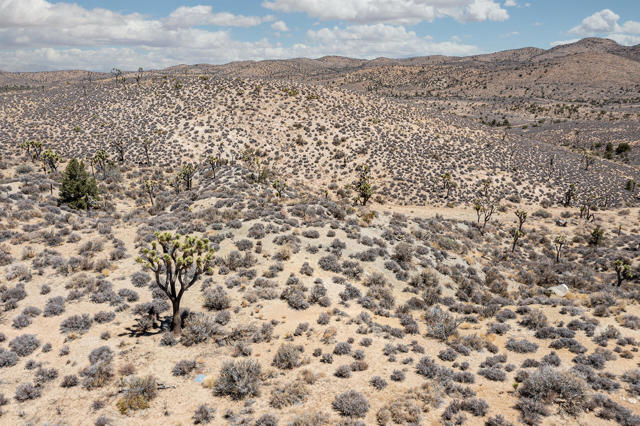 112 Angel View Road, Pioneertown CA: https://media.crmls.org/mediaz/7f1d8776-4bd0-4da7-b25d-40478e1b32ad.jpg