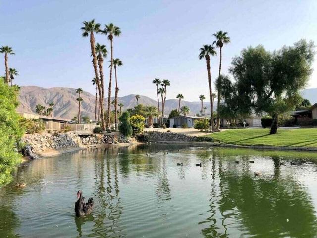 74711 Dillon Road, Desert Hot Springs CA: https://media.crmls.org/mediaz/7f1da8fb-3d18-4aca-a588-10e21358e120.jpg