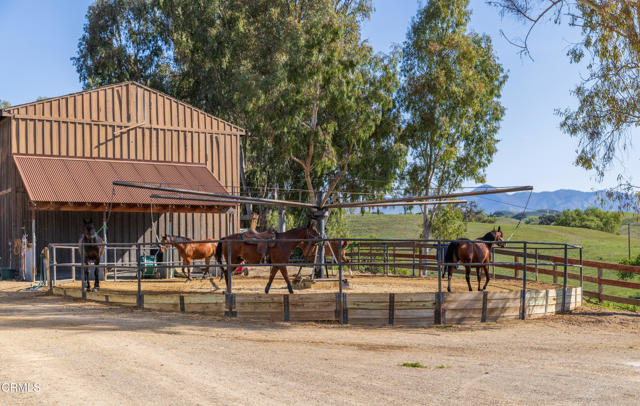 Detail Gallery Image 51 of 75 For 3325 Figueroa Mountain Rd, Los Olivos,  CA 93441 - 3 Beds | 3/2 Baths