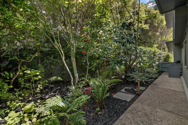 1101 Hamilton Avenue, Palo Alto CA: https://media.crmls.org/mediaz/7f28335f-4080-41b4-bc40-fb0fd7a6fc0b.jpg