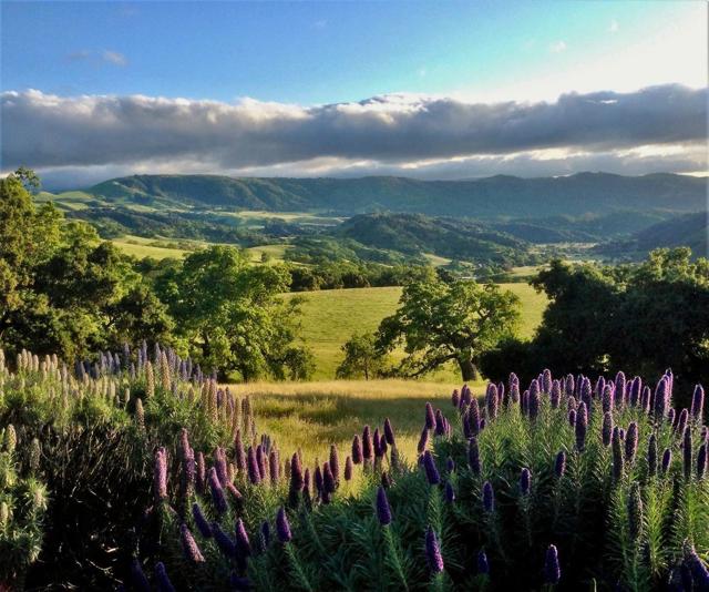 17755 Corral Del Cielo Road,  CA: https://media.crmls.org/mediaz/7f2cd258-9aec-45f8-b2d8-e1da67c2038f.jpg