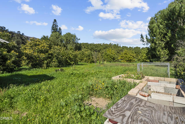 Detail Gallery Image 55 of 68 For 1325 Cliff Ave, Fillmore,  CA 93015 - 5 Beds | 3 Baths