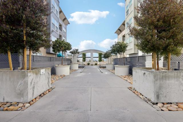 8200 Oceanview Terrace, San Francisco CA: https://media.crmls.org/mediaz/7f36ffa7-2f43-4a67-8718-45ec26b0a4f5.jpg