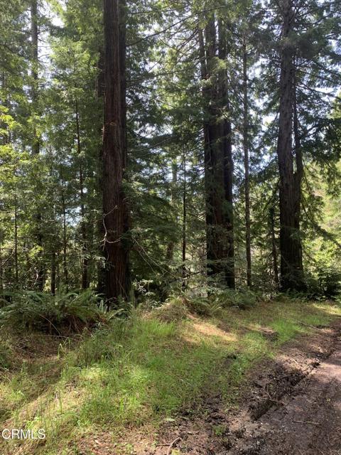 Detail Gallery Image 30 of 41 For 23501 Branscomb Rd, Westport,  CA 95488 - – Beds | – Baths