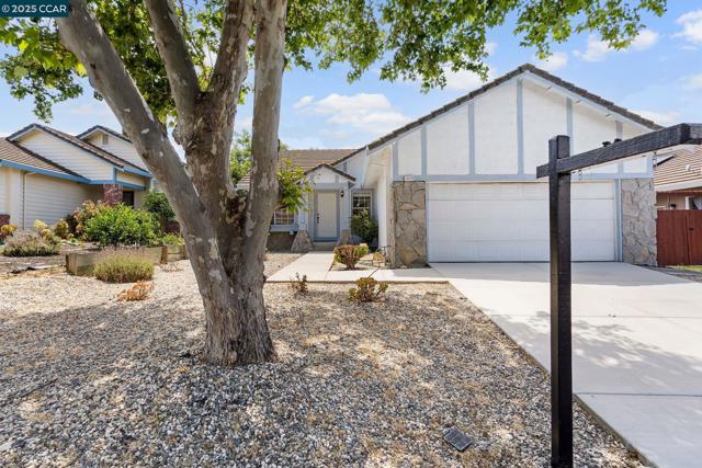 1929 Johnson Dr, Antioch CA: https://media.crmls.org/mediaz/7f47eaa0-6320-4765-9061-2b49dd369b7d.jpg