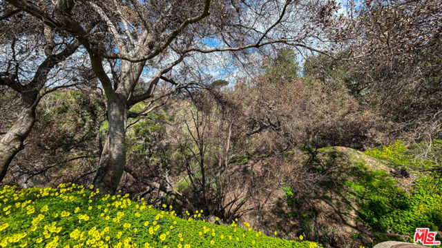 543 Radcliffe Avenue, Pacific Palisades CA: https://media.crmls.org/mediaz/7f5829fd-cf8f-4afb-8199-4c3242c7b833.jpg