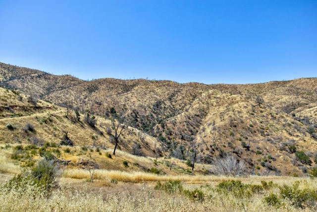 14600 Del Puerto Canyon Road, Newman CA: https://media.crmls.org/mediaz/7f586bb0-b328-4061-a0c1-02f7ea82c976.jpg