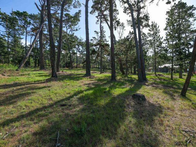 25 Poppy Lane, Pebble Beach CA: https://media.crmls.org/mediaz/7f5a26ad-4058-4d83-b085-89647eee8615.jpg