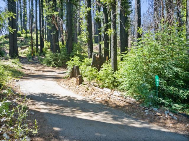 685 Robles Drive, Santa Cruz CA: https://media.crmls.org/mediaz/7f5d6cba-a8db-4d57-b2a0-36e6d11e8d83.jpg