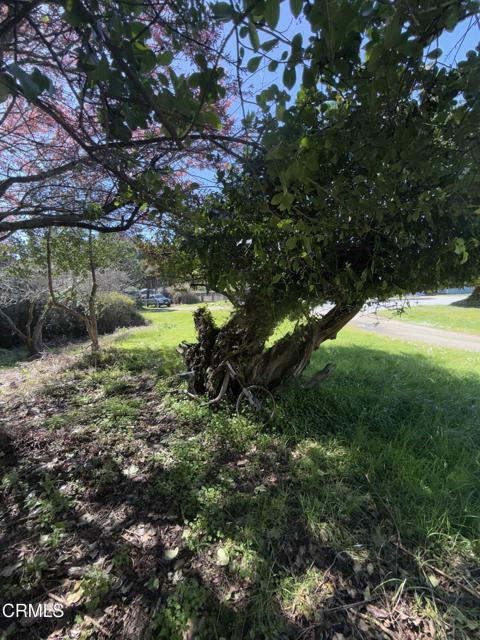 596 S Sanderson Way, Fort Bragg CA: https://media.crmls.org/mediaz/7f5d91e5-788e-4a65-8c8c-1fb1447926db.jpg