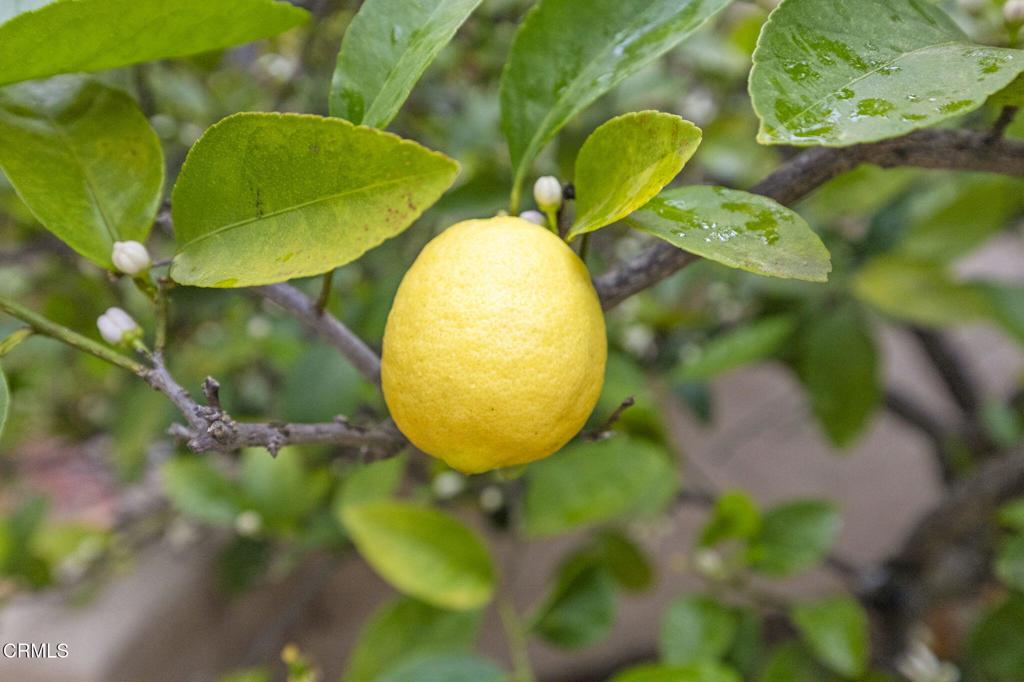 https://media.crmls.org/mediaz/7f732e70-332e-4ece-85c1-f36609f9f02c.jpg?preset=X-Large