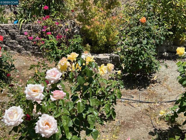 3824 Via Granada, Moraga CA: https://media.crmls.org/mediaz/7f797fec-dce1-473a-9cc3-225aba8b795e.jpg