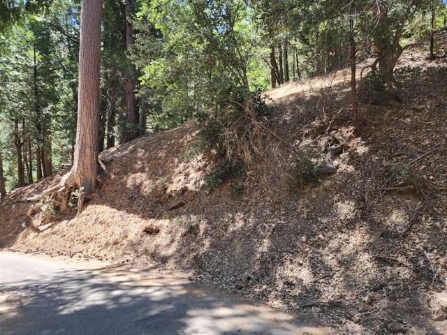 0 Edelweiss Drive, Crestline CA: https://media.crmls.org/mediaz/7f895133-9846-491e-8fe7-a9882e4387c5.jpg